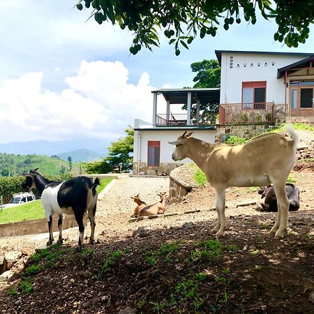 Amazi Land Home And Farm Stay Kibuye 外观 照片