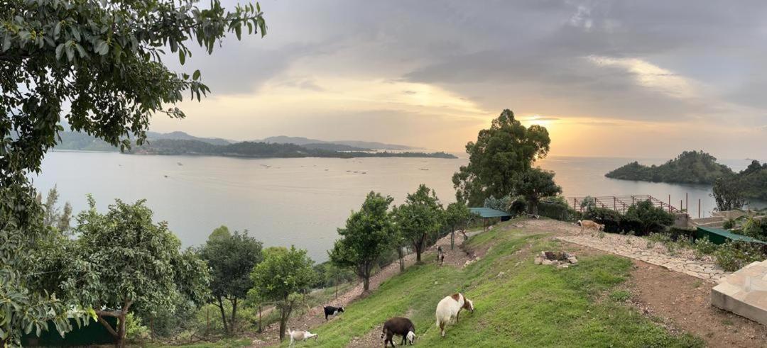 Amazi Land Home And Farm Stay Kibuye 外观 照片