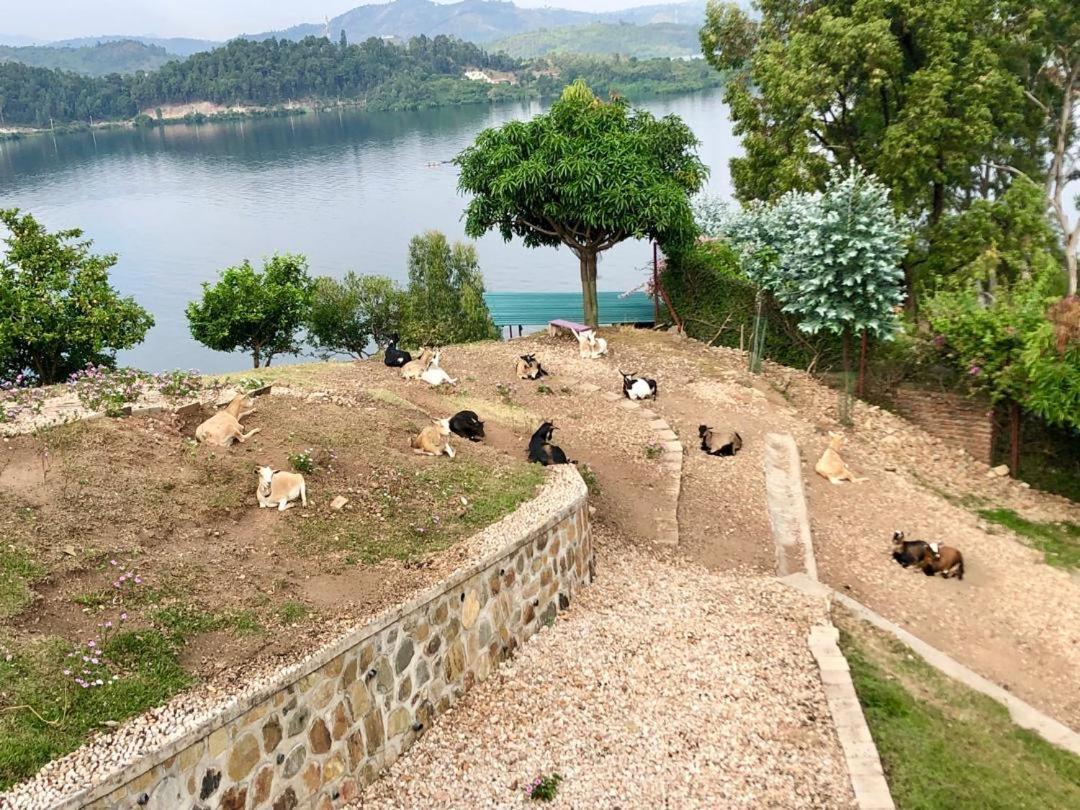 Amazi Land Home And Farm Stay Kibuye 外观 照片