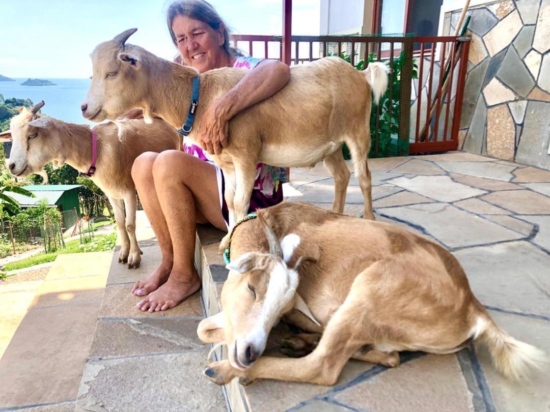 Amazi Land Home And Farm Stay Kibuye 外观 照片