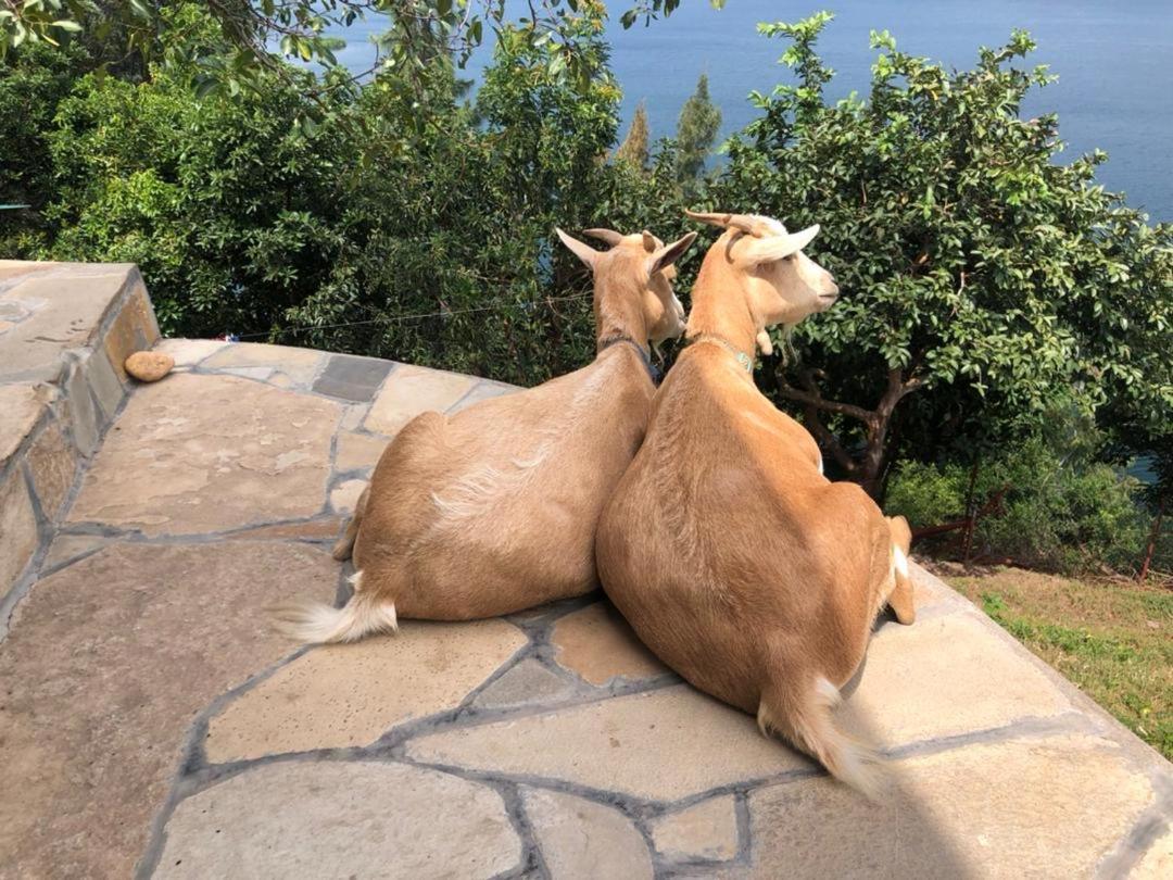 Amazi Land Home And Farm Stay Kibuye 外观 照片