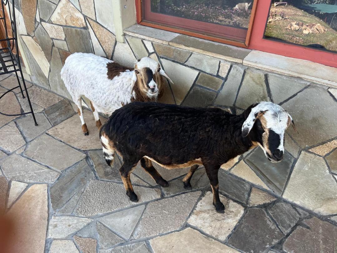 Amazi Land Home And Farm Stay Kibuye 外观 照片