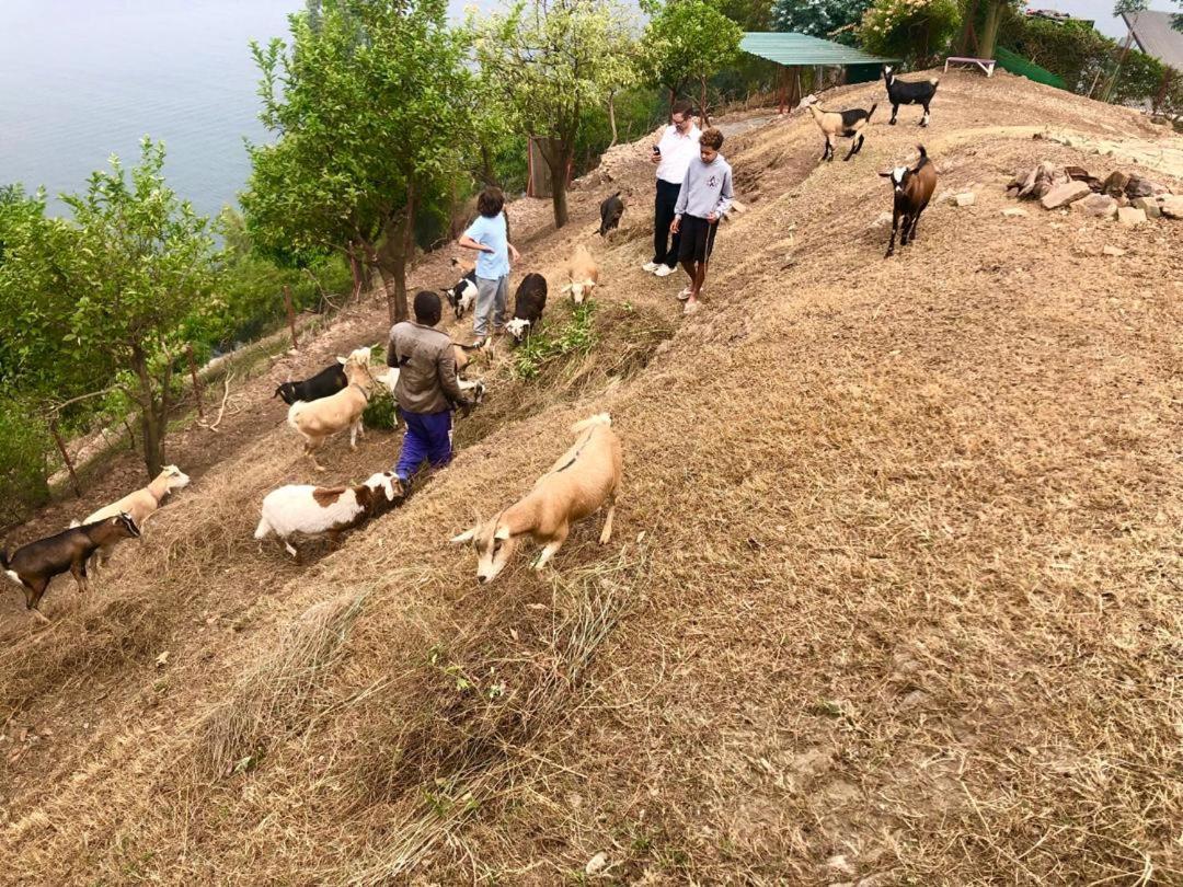 Amazi Land Home And Farm Stay Kibuye 外观 照片